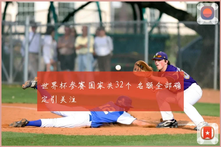 世界杯参赛国家共32个 名额全部确定引关注