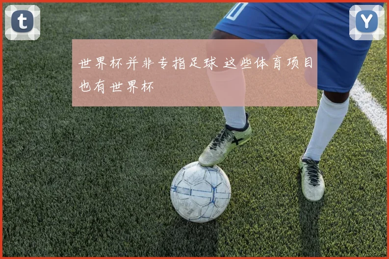 世界杯并非专指足球 这些体育项目也有世界杯