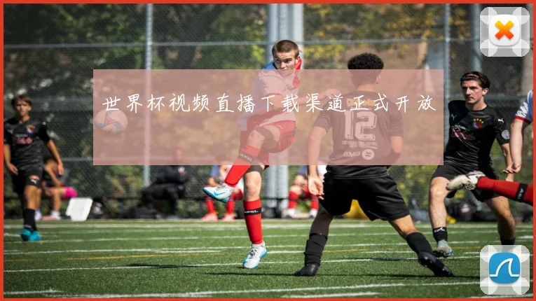 世界杯视频直播下载渠道正式开放