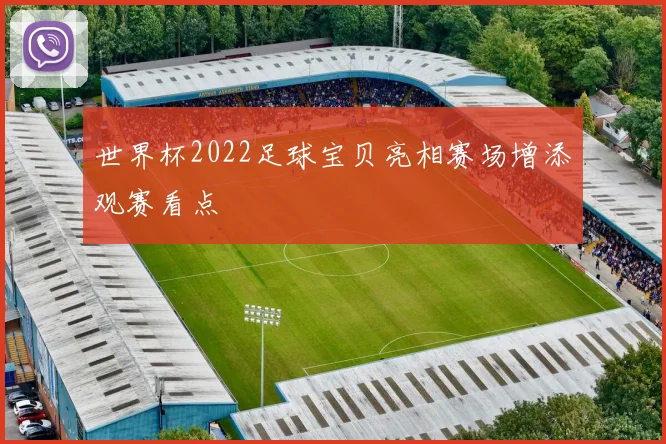 世界杯2022足球宝贝亮相赛场增添观赛看点