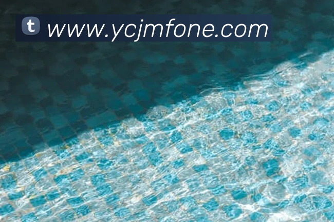 世界杯平台官网登录APP 高清赛事图